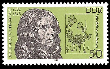 50 Pf Briefmarke: Bedeutende Persönlichkeiten, Adelbert v. Chamisso