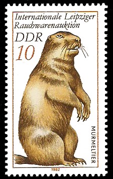 10 Pf Briefmarke: Internationale Leipziger Rauchwarenauktion, Murmeltier 10 Pf Briefmarke: Internationale Leipziger Rauchwarenauktion, Murmeltier