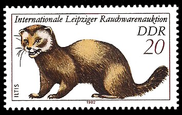 20 Pf Briefmarke: Internationale Leipziger Rauchwarenauktion, Iltis 20 Pf Briefmarke: Internationale Leipziger Rauchwarenauktion, Iltis