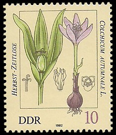10 Pf Briefmarke: Giftpflanzen, Herbst-Zeitlose 10 Pf Briefmarke: Giftpflanzen, Herbst-Zeitlose