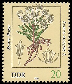 20 Pf Briefmarke: Giftpflanzen, Sumpf-Porst
