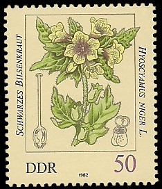 50 Pf Briefmarke: Giftpflanzen, Schwarzes Bilsenkraut 50 Pf Briefmarke: Giftpflanzen, Schwarzes Bilsenkraut