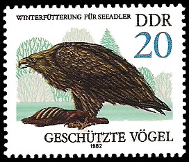 20 Pf Briefmarke: Geschützte Vögel, Seeadler 20 Pf Briefmarke: Geschützte Vögel, Seeadler