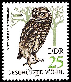 25 Pf Briefmarke: Geschützte Vögel, Steinkauz 25 Pf Briefmarke: Geschützte Vögel, Steinkauz