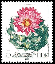 5 Pf Briefmarke: Kakteen, Coryphantha elephantidens