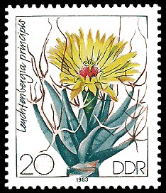 20 Pf Briefmarke: Kakteen, Leuchtenbergia principis