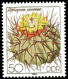50 Pf Briefmarke: Kakteen, Copiapoa cinerea 50 Pf Briefmarke: Kakteen, Copiapoa cinerea