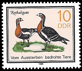 10 Pf Briefmarke: Vom Aussterben bedrohte Tiere, Rothalsgans