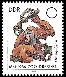 10 Pf Briefmarke: 125 Jahre Zoo Dresden, Orang-Utan 10 Pf Briefmarke: 125 Jahre Zoo Dresden, Orang-Utan