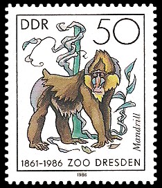 50 Pf Briefmarke: 125 Jahre Zoo Dresden, Mandrill