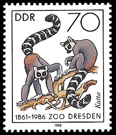 70 Pf Briefmarke: 125 Jahre Zoo Dresden, Katta
