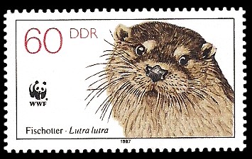 60 Pf Briefmarke: Vom Aussterben bedrohte Tiere, Fischotter 60 Pf Briefmarke: Vom Aussterben bedrohte Tiere, Fischotter