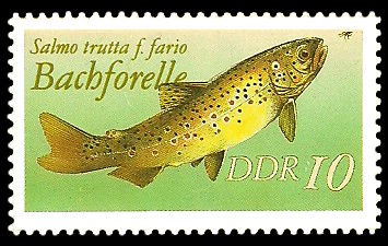 10 Pf Briefmarke: Süßwasserfische, Bachforelle