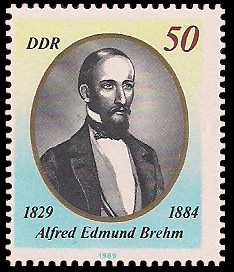 50 Pf Briefmarke: Alfred Edmund Brehm