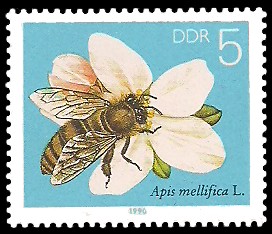 5 Pf Briefmarke: Die Biene, Obstblüte 5 Pf Briefmarke: Die Biene, Obstblüte