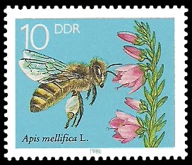 10 Pf Briefmarke: Die Biene, Heidekraut