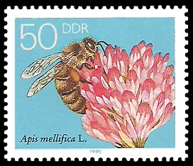 50 Pf Briefmarke: Die Biene, Kleeblüte