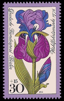 30 + 15 Pf Briefmarke: Wohlfahrtsmarke 1976, Gartenblumen 30 + 15 Pf Briefmarke: Wohlfahrtsmarke 1976, Gartenblumen
