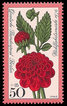 50 + 25 Pf Briefmarke: Wohlfahrtsmarke 1976, Gartenblumen 50 + 25 Pf Briefmarke: Wohlfahrtsmarke 1976, Gartenblumen