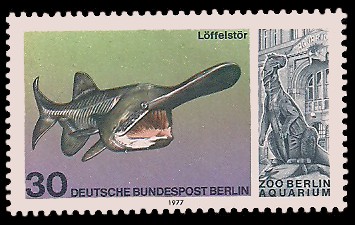 30 Pf Briefmarke: Aquarium im Zoo Berlin