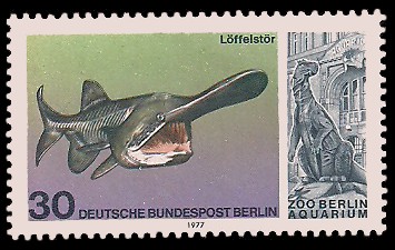 30 Pf Briefmarke: Aquarium im Zoo Berlin 30 Pf Briefmarke: Aquarium im Zoo Berlin