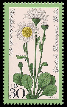 30 + 15 Pf Briefmarke: Wohlfahrtsmarke 1977, Wiesenblumen