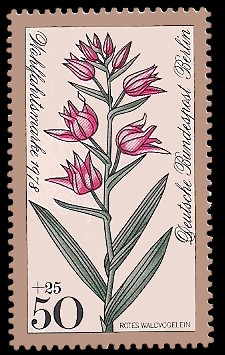 50 + 25 Pf Briefmarke: Wohlfahrtsmarke 1978, Waldblumen