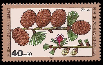 40 + 20 Pf Briefmarke: Wohlfahrtsmarke 1979, Wald-Blüten u Früchte 40 + 20 Pf Briefmarke: Wohlfahrtsmarke 1979, Wald-Blüten u Früchte