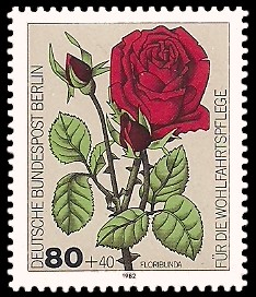 80 + 40 Pf Briefmarke: Wohlfahrtsmarke 1982, Rosen