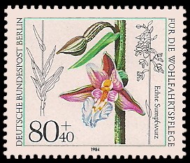 80 + 40 Pf Briefmarke: Wohlfahrtsmarke 1984, Orchideen 80 + 40 Pf Briefmarke: Wohlfahrtsmarke 1984, Orchideen